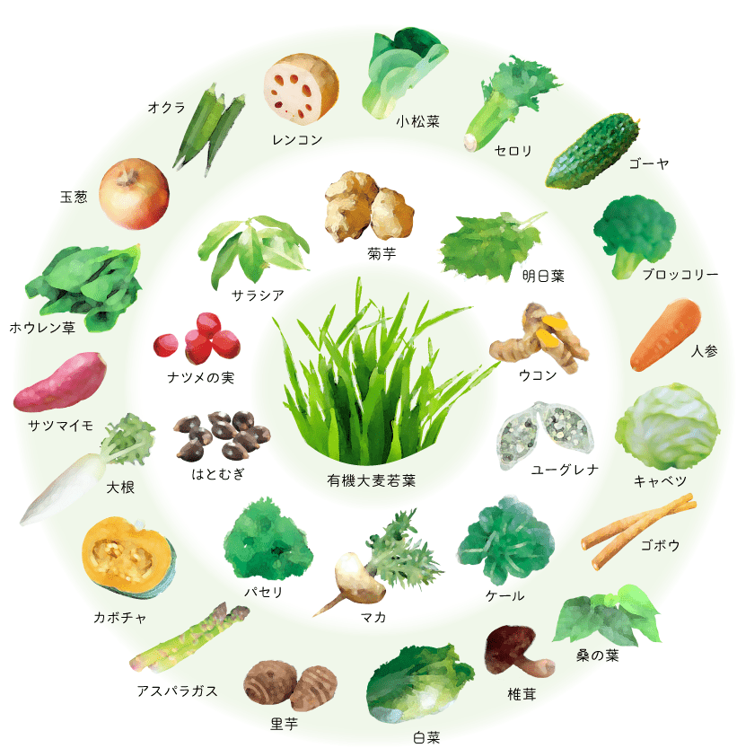 30種類の国産野菜&スーパーフード