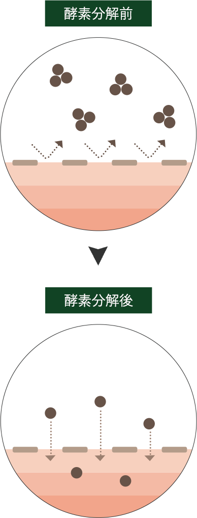 ハトムギ茶 | 山本漢方製薬株式会社